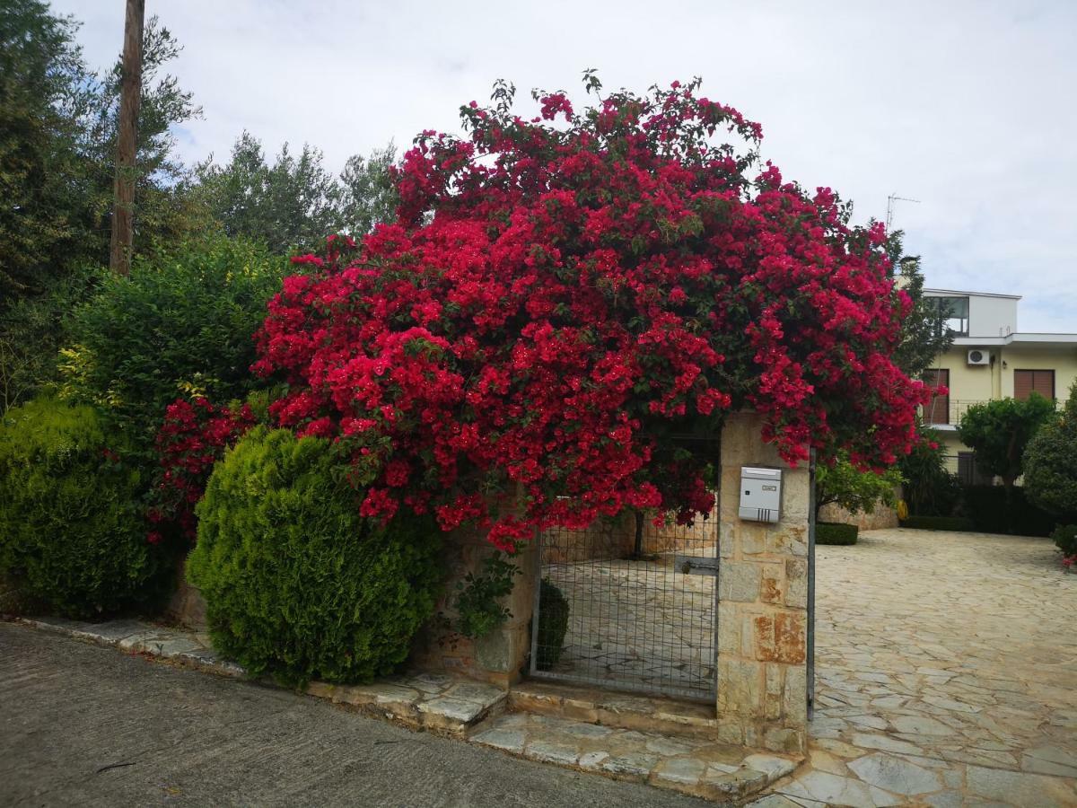 Hotel Patelis Poulithra Exterior photo